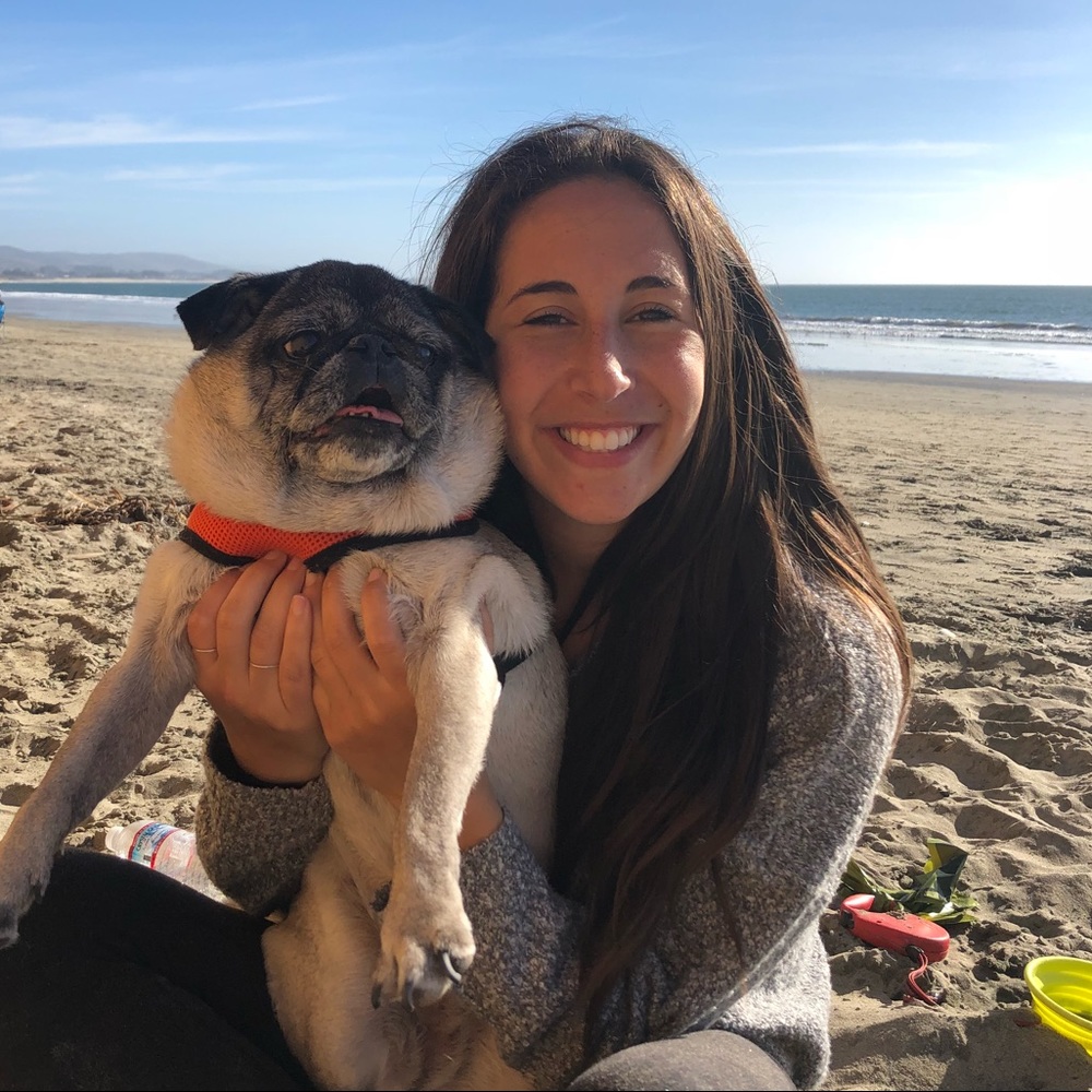 Meet your Posher, Malak